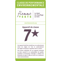 Poêle à Bois Domino Avec Pied 8 Poêle à Bois Domino Avec Pied -Top Chaleur Magasin poele a bois domino avec pied flamme verte 1